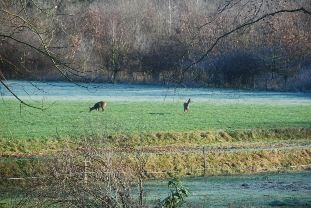 B&Btob Steengroeve Winterswijk Bagian luar foto